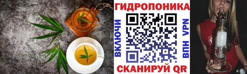 darknet какой сайт  Омутнинск  Canna-Cookies конопля  KRAKEN ONION 
