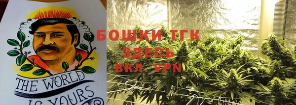 шишки Алзамай