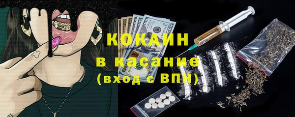 шишки Алзамай