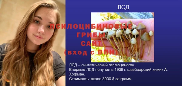 меф Алексин