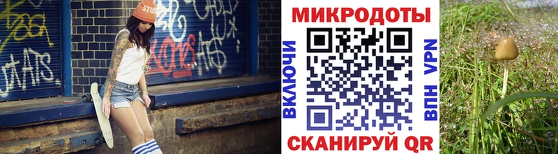 Галлюциногенные грибы Psilocybine cubensis Омутнинск